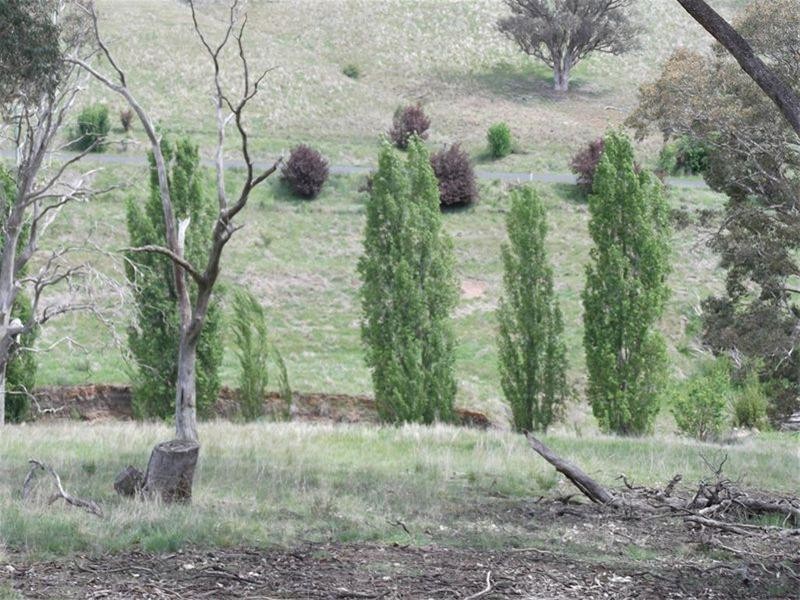 1745 Reg Hailstone Way, Woodstock NSW 2793