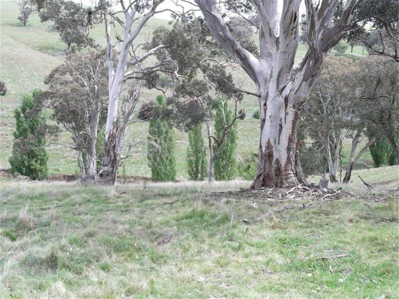 1745 Reg Hailstone Way, Woodstock NSW 2793