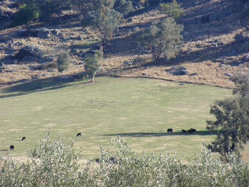 Lot 104 Darbys Falls Road, Darbys Falls NSW 2793