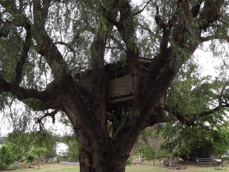 29 Preston Street, Canowindra NSW 2804