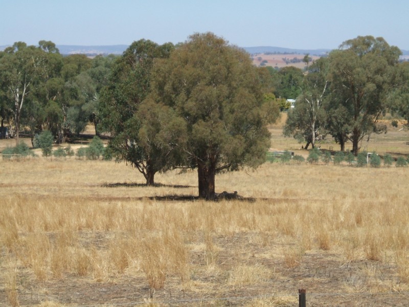 46 Jerula Lane, Cowra NSW 2794