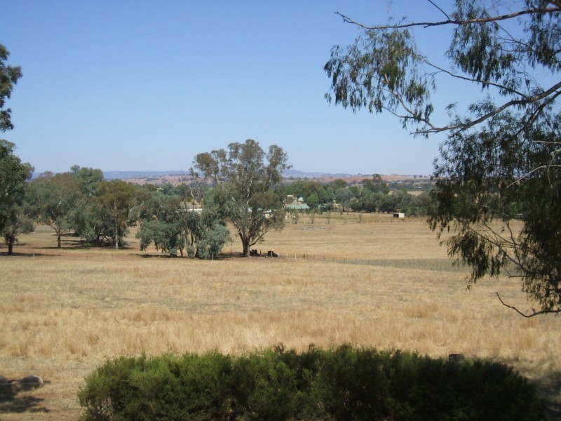 46 Jerula Lane, Cowra NSW 2794