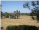 46 Jerula Lane, Cowra NSW 2794