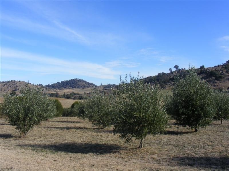 Lot 104 Darbys Falls Road, Darbys Falls NSW 2793