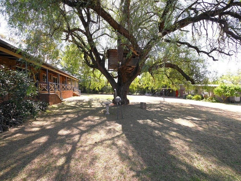 29 Preston Street, Canowindra NSW 2804