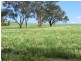 Lot 19 Battalion Drive, Cowra NSW 2794