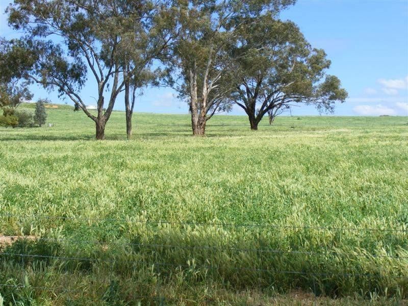 Lot 19 Battalion Drive, Cowra NSW 2794