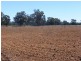 61 Farleigh Reserve Road, Cowra NSW 2794