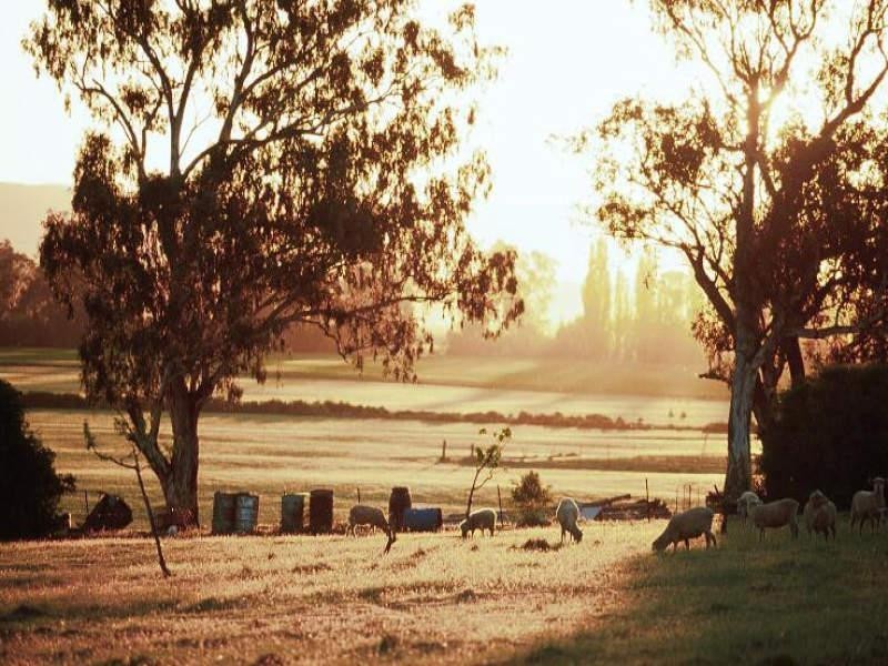 1 Chardonnay Hills Estate, Cowra NSW 2794