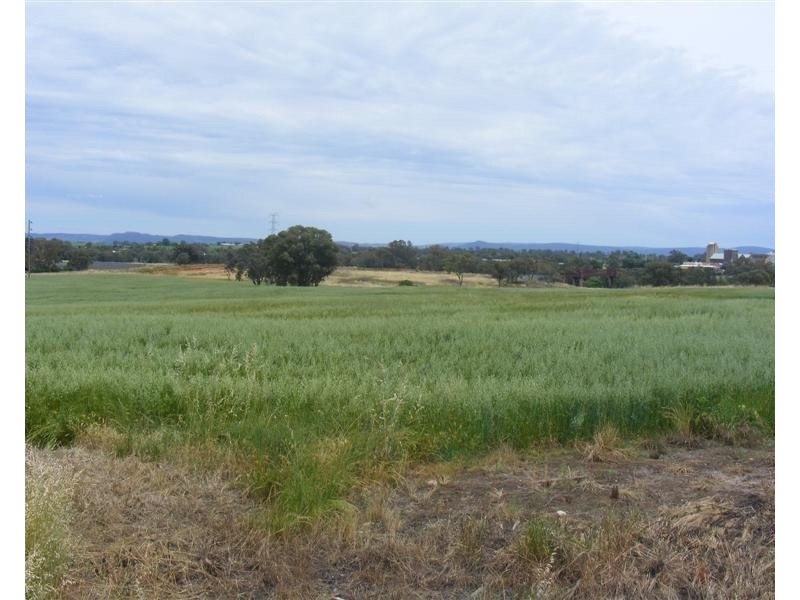 17 Taragala Street, Cowra NSW 2794