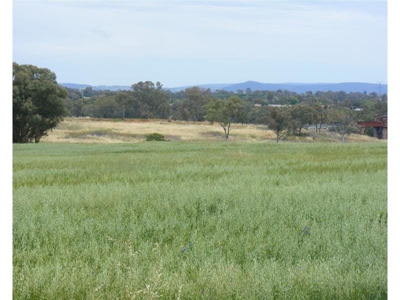 17 Taragala Street, Cowra NSW 2794