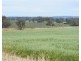 17 Taragala Street, Cowra NSW 2794