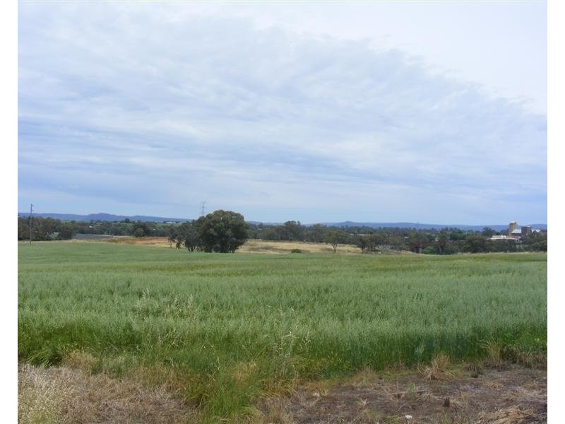17 Taragala Street, Cowra NSW 2794