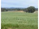 17 Taragala Street, Cowra NSW 2794
