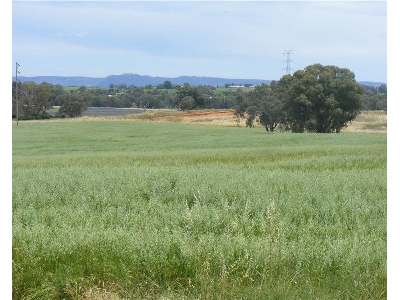 17 Taragala Street, Cowra NSW 2794