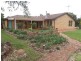 53 Cowra Street, Gooloogong NSW 2805