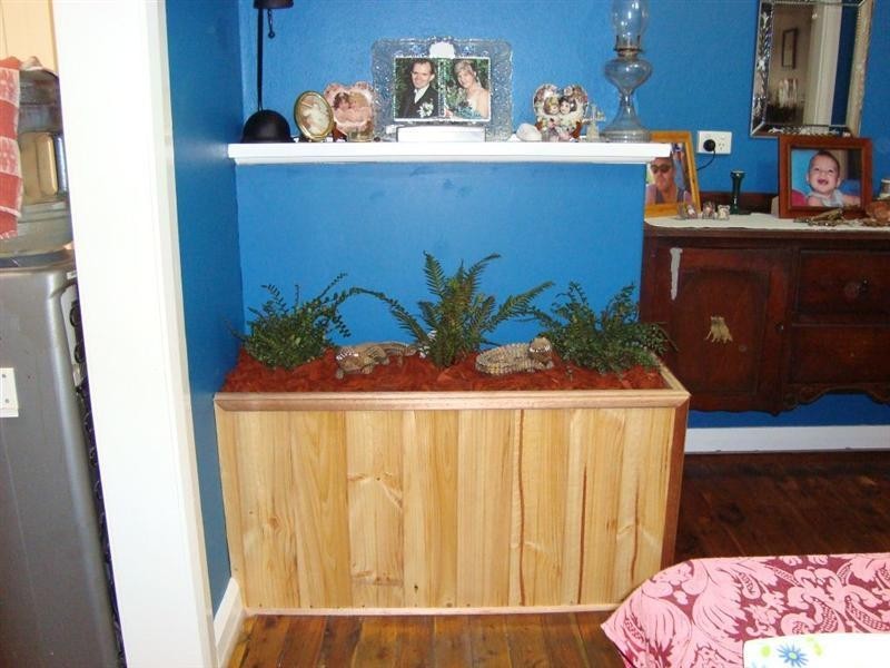 40 EULO Street, Cowra NSW 2794