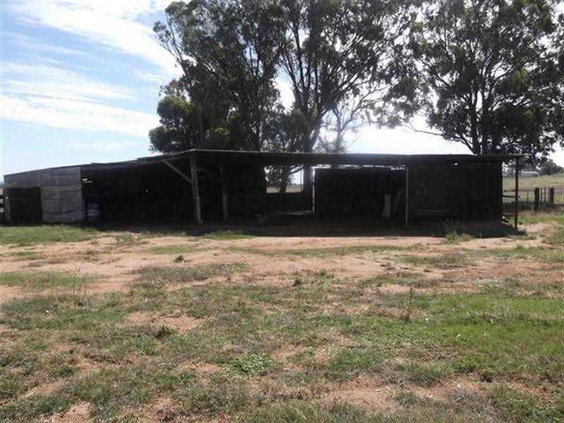 Lot 1 ‘Glenview’, Billimari NSW 2804