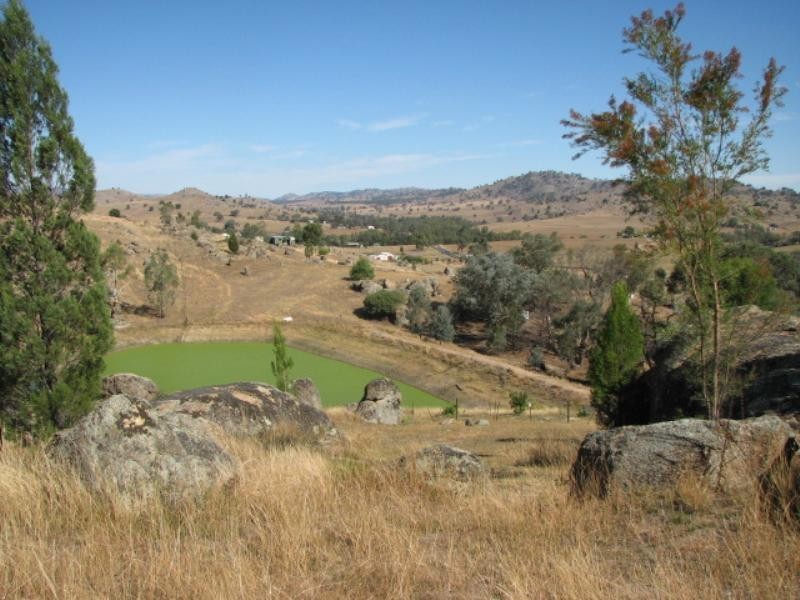 2365 Darbys Falls Road, Darbys Falls NSW 2793