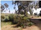 18 Battalion Drive, Cowra NSW 2794