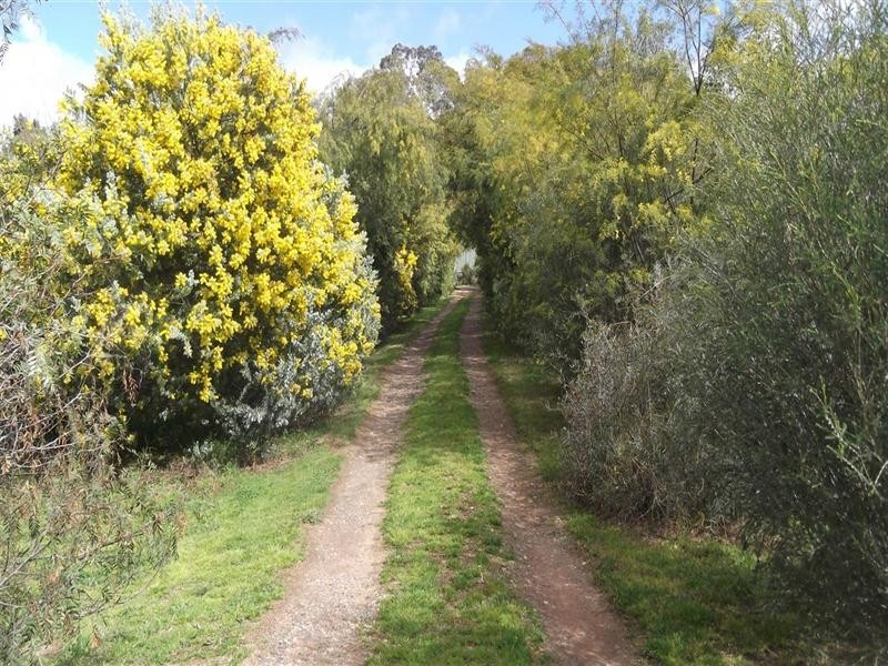 18 Battalion Drive, Cowra NSW 2794