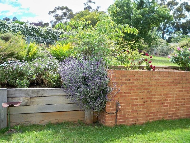 5 Casuarina Close, Cowra NSW 2794