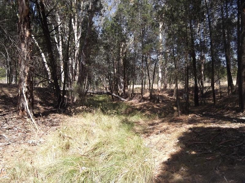 Lot 22 Stoney Hill Road, Cowra NSW 2794