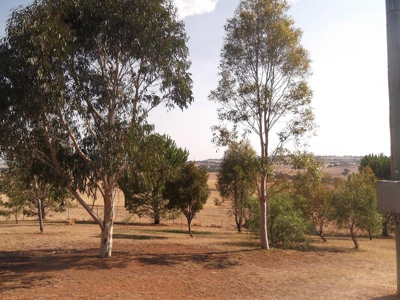 415 Elouera Road, Cowra NSW 2794