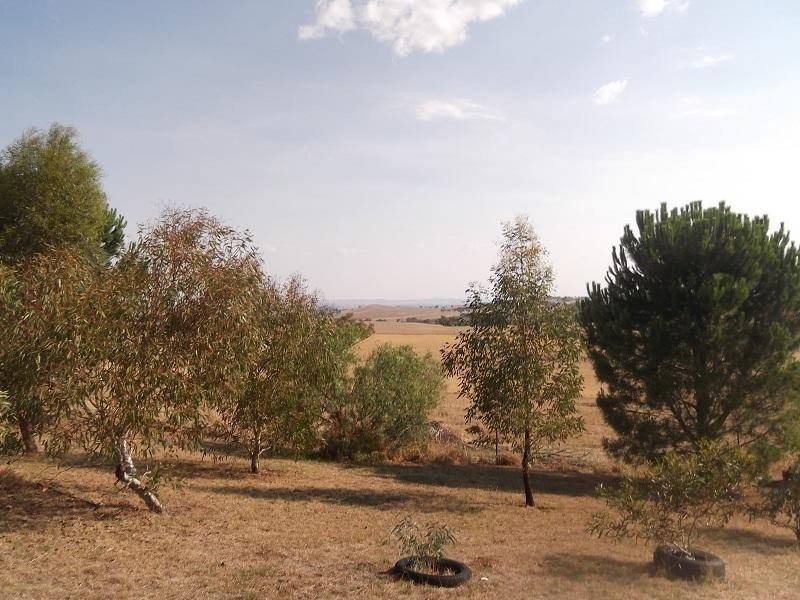 415 Elouera Road, Cowra NSW 2794