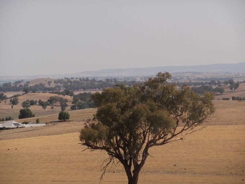 415 Elouera Road, Cowra NSW 2794