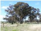 Lot 29 Battalion Drive, Cowra NSW 2794