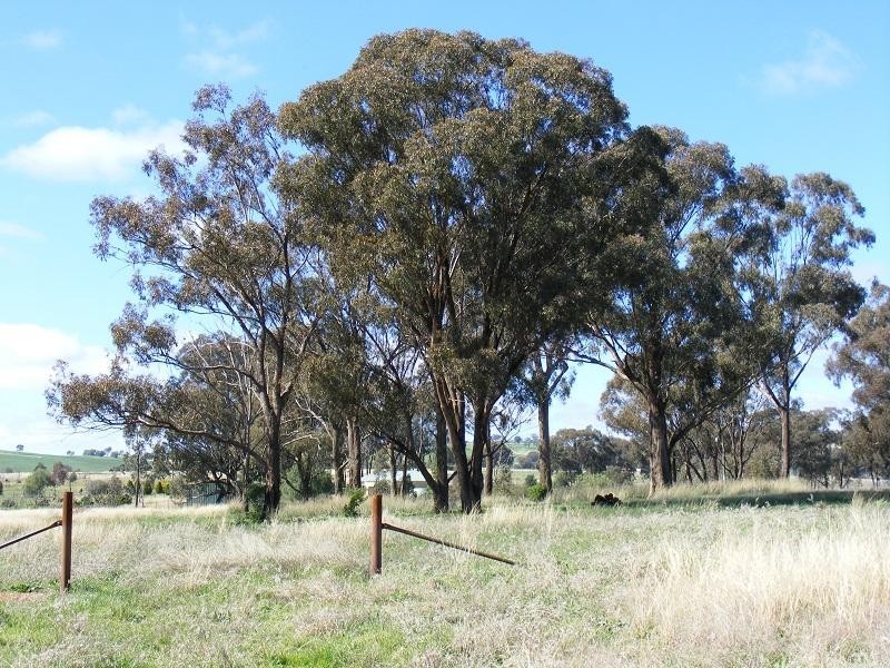 Lot 29 Battalion Drive, Cowra NSW 2794