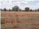 117 Jukes Lane, Cowra NSW 2794