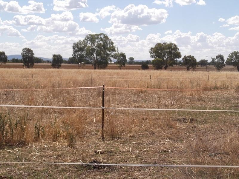 117 Jukes Lane, Cowra NSW 2794