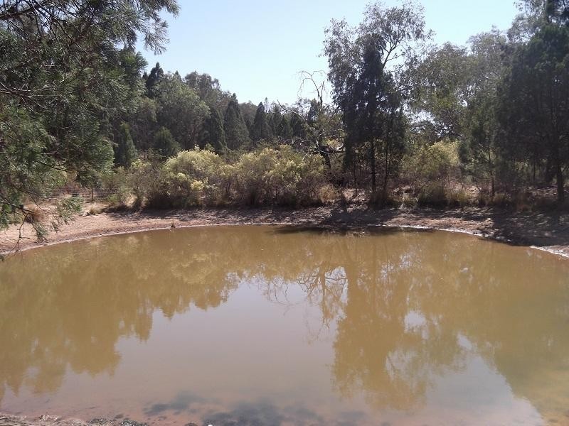 Lot 22 Stoney Hill Road, Cowra NSW 2794