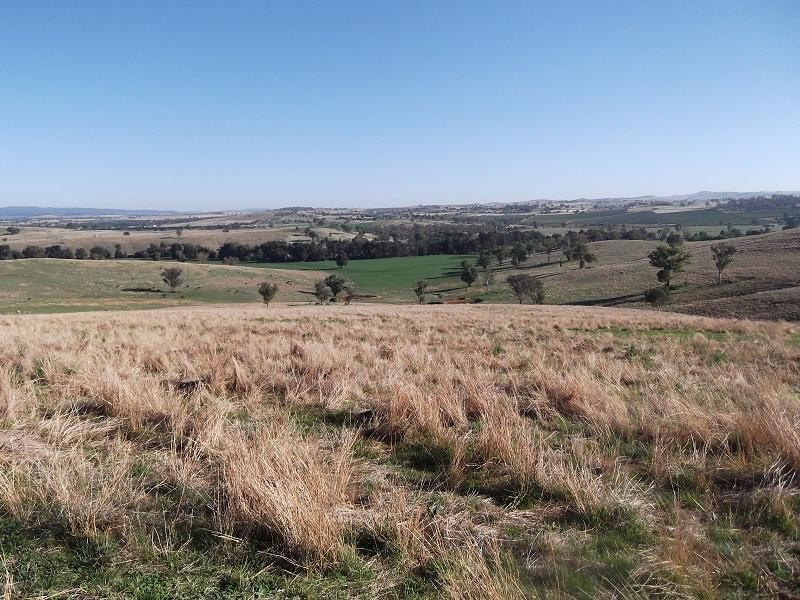 Lot 14/2286 George Russell Drive, Canowindra NSW 2804