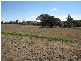 Lot 1 Sydney Road, Cowra NSW 2794