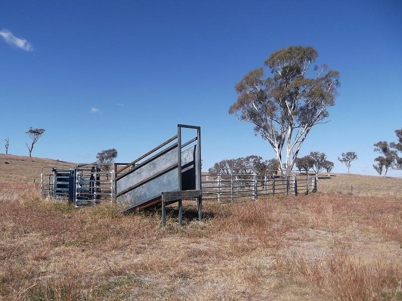 “Wanaka” 977 Reg Hailstone Way, Woodstock NSW 2793