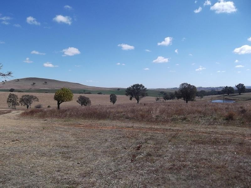 “Wanaka” 977 Reg Hailstone Way, Woodstock NSW 2793