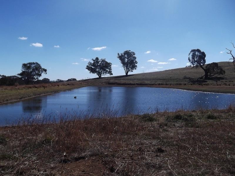 “Wanaka” 977 Reg Hailstone Way, Woodstock NSW 2793