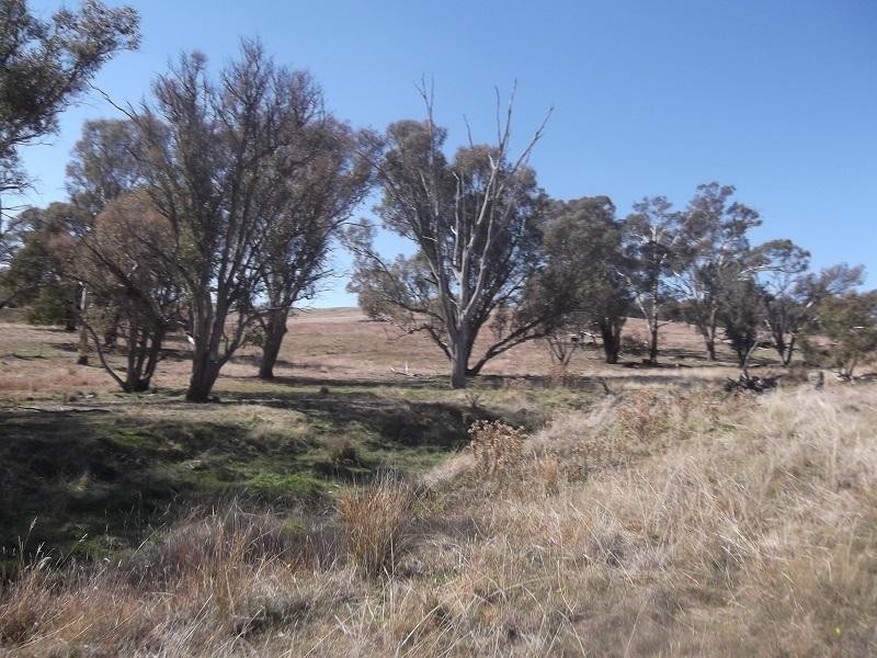 “Wanaka” 977 Reg Hailstone Way, Woodstock NSW 2793