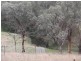 75 willowvale Road, Cowra NSW 2794