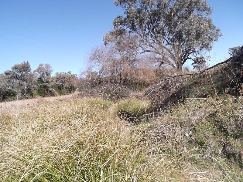 Lot 180 Grenfell Road, Bumbaldry NSW 2794