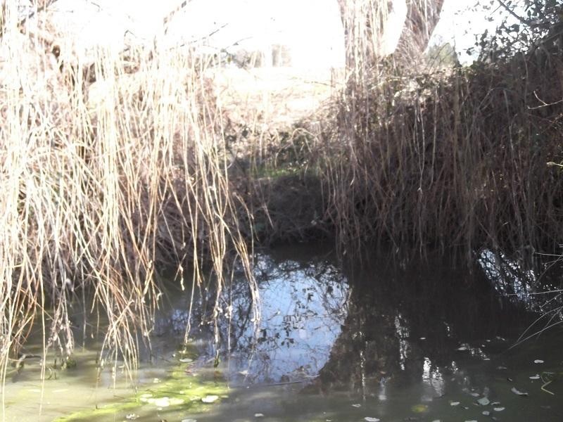 Lot 180 Grenfell Road, Bumbaldry NSW 2794