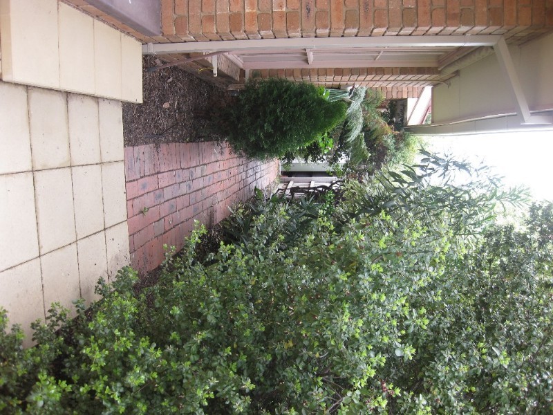 3/24 White Street, Mount Waverley VIC 3149