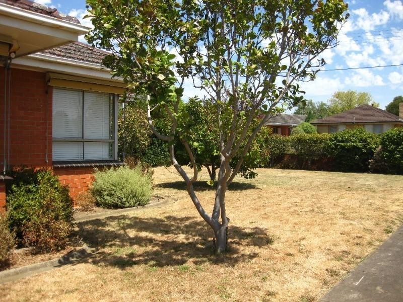 10 Francis Street, Mount Waverley VIC 3149