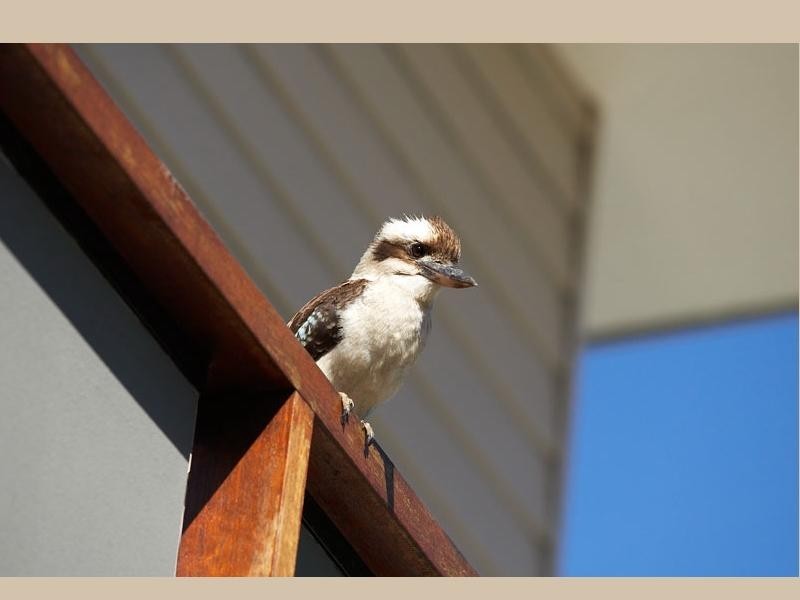 2 Louis Street, Doveton VIC 3177