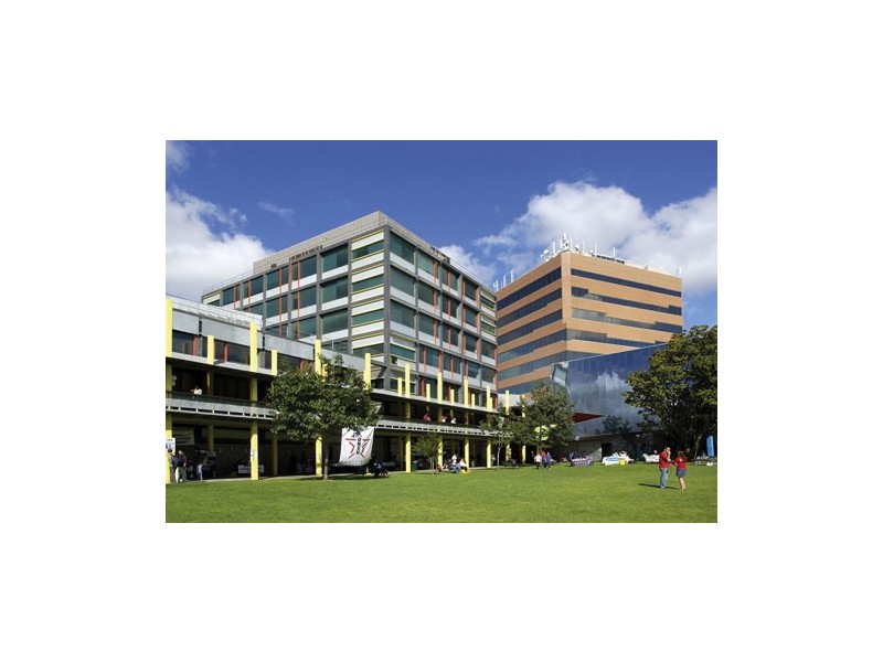 36 Koonawarra Street, Clayton VIC 3168