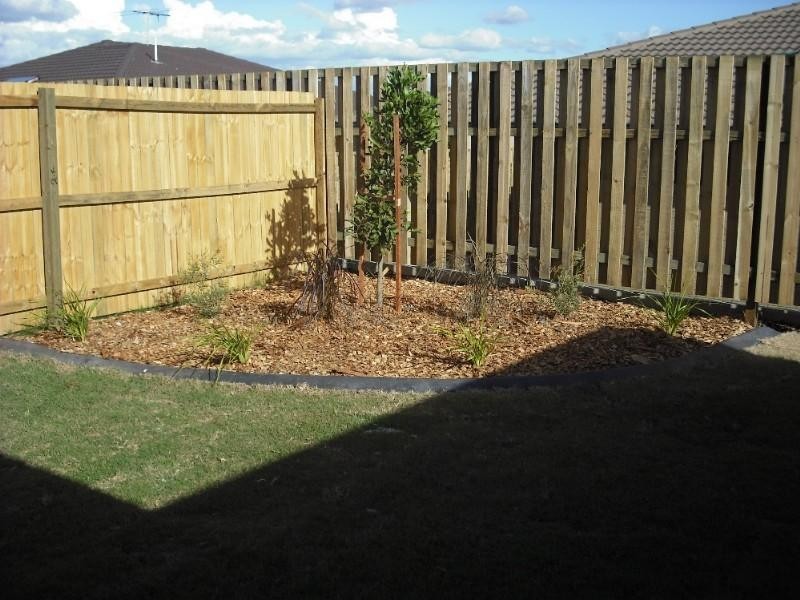 14 Pumello Court, Bellmere QLD 4510