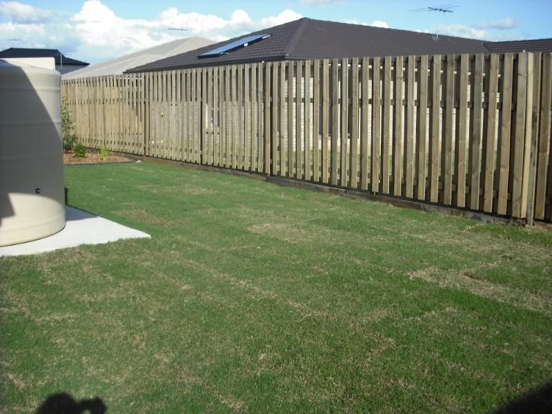 6 Pumello Court, Bellmere QLD 4510